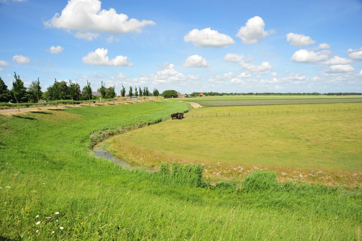 Polderlandschap bij Egmond